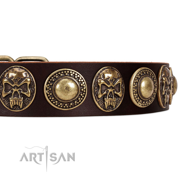 Genuine leather dog collar with adornments for walking