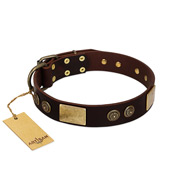 "Bow-Wow Effect" FDT Artisan Brown Leather Dogue de Bordeaux Collar with Plates and Ornate Studs "Bow-Wow Effect" FDT Artisan Brown Leather Dogue de Bordeaux Collar with Plates and Ornate Studs