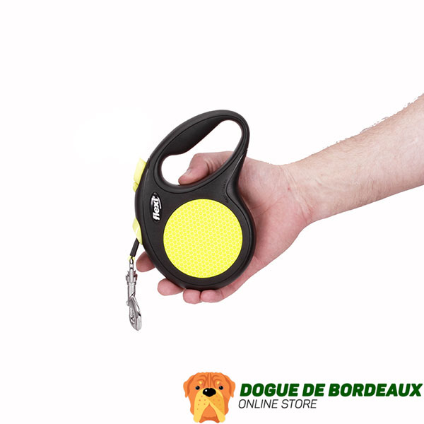 Walking Retractable Leash Neon Style for Total Safety