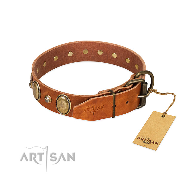 Studded leather dog collar with rust-proof D-ring