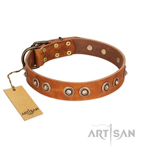 Corrosion resistant D-ring on full grain leather dog collar for your dog
