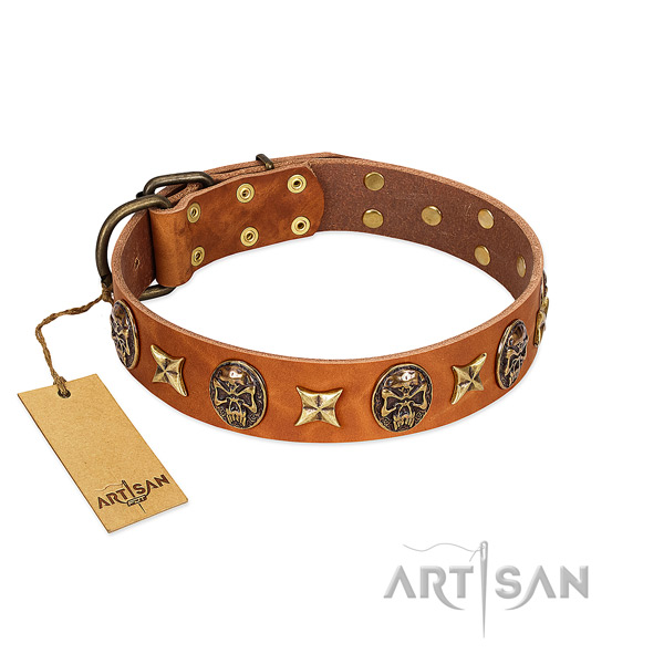 Top notch full grain genuine leather collar for your canine