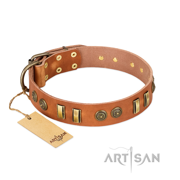 Rust-proof embellishments on full grain genuine leather dog collar for your canine