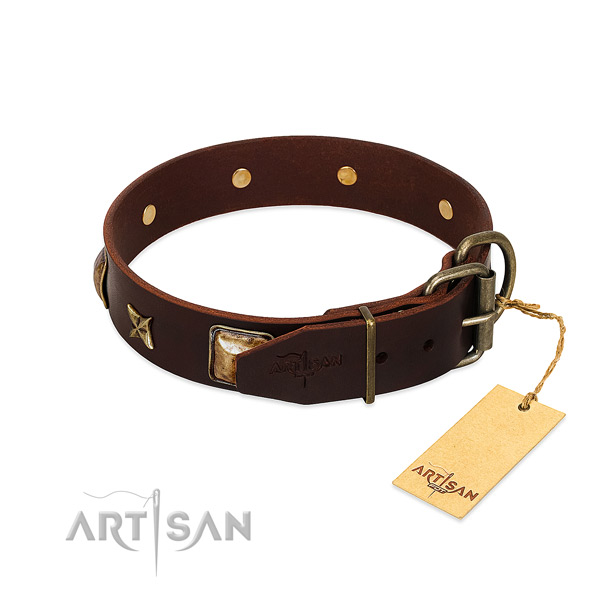 Full grain leather dog collar with corrosion resistant hardware and embellishments