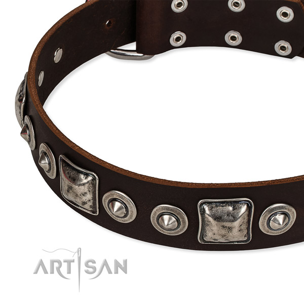 Genuine leather dog collar made of quality material with decorations