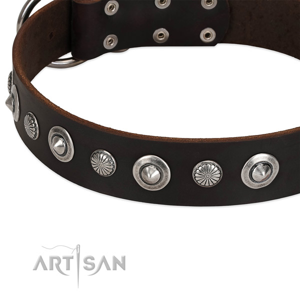 Extraordinary adorned dog collar of high quality full grain natural leather