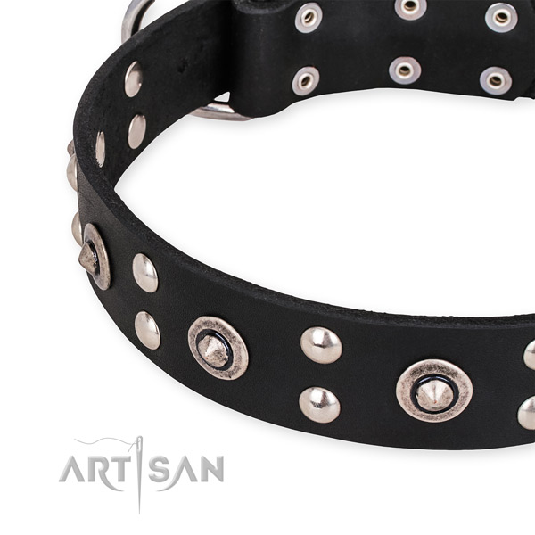 Genuine leather collar with rust resistant hardware for your handsome four-legged friend