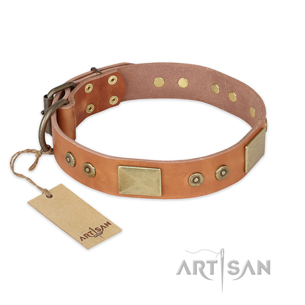 Designer full grain natural leather dog collar for everyday walking