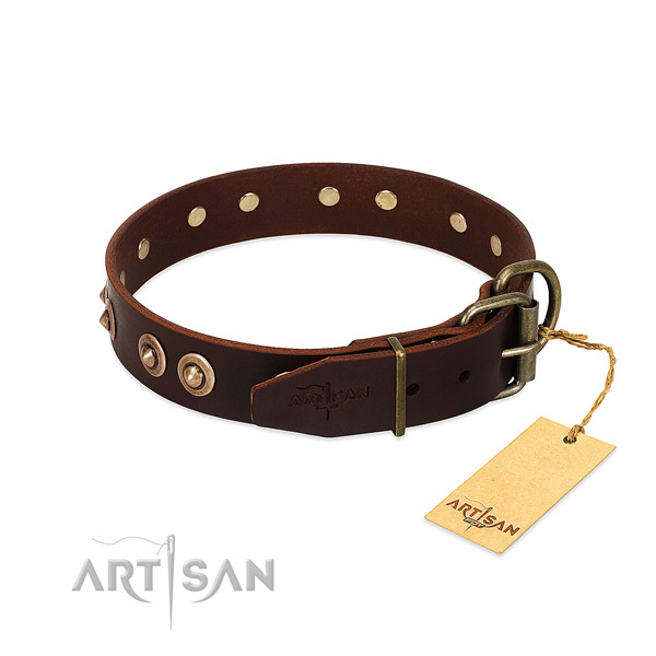 Corrosion proof D-ring on leather dog collar for your canine