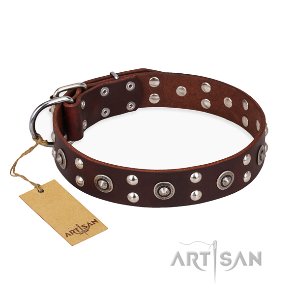 Everyday walking trendy dog collar with rust-proof hardware