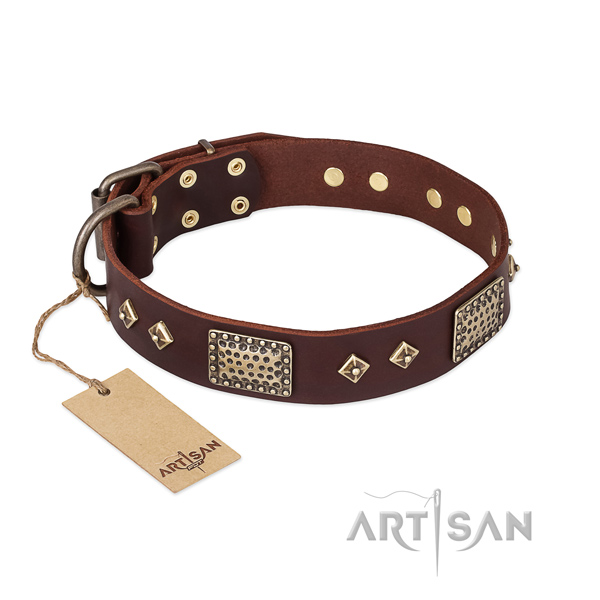 Convenient full grain leather dog collar for daily use