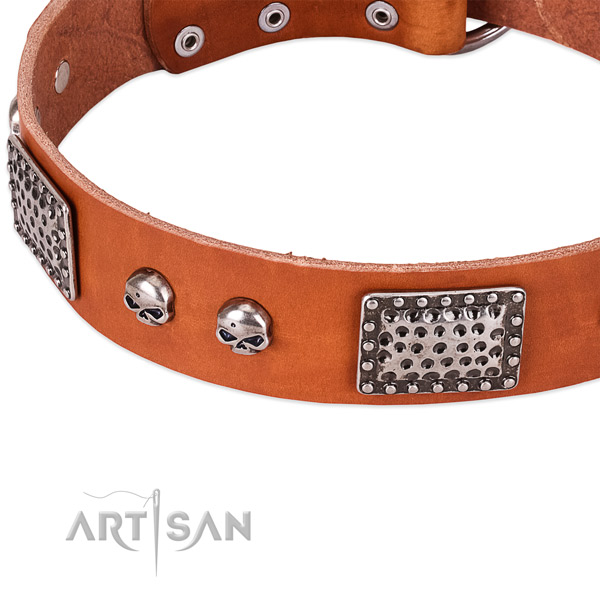 Durable buckle on natural genuine leather dog collar for your four-legged friend