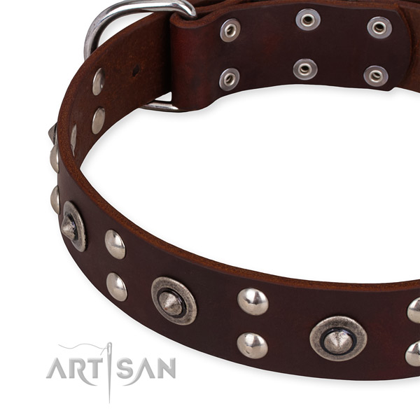 Full grain leather collar with rust-proof hardware for your handsome pet