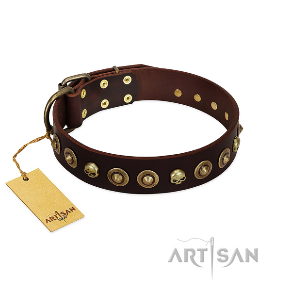 Full grain natural leather collar with impressive studs for your canine