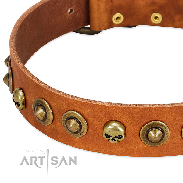 Stylish design decorations on natural leather collar for your pet