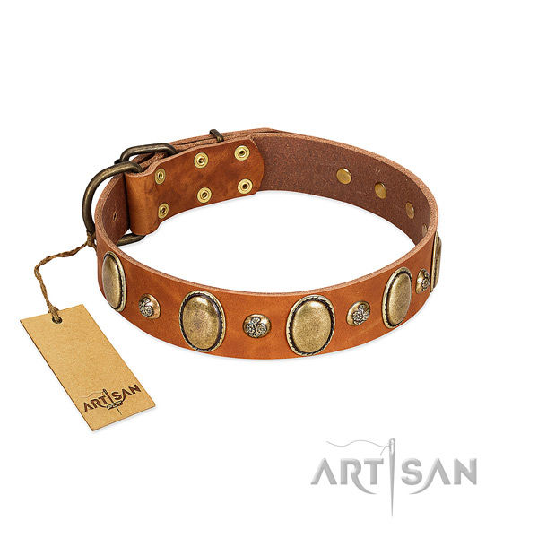 Full grain genuine leather dog collar of soft to touch material with stylish design adornments
