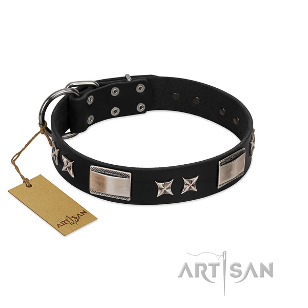 Top notch dog collar of leather