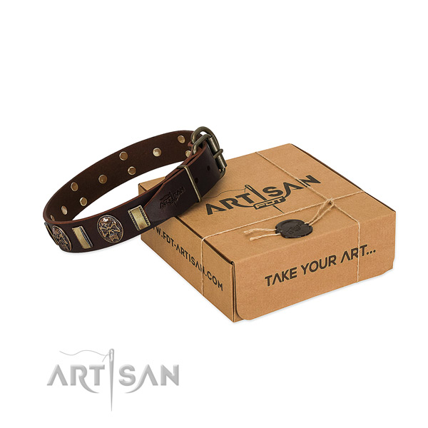 Trendy full grain natural leather collar for your beautiful four-legged friend