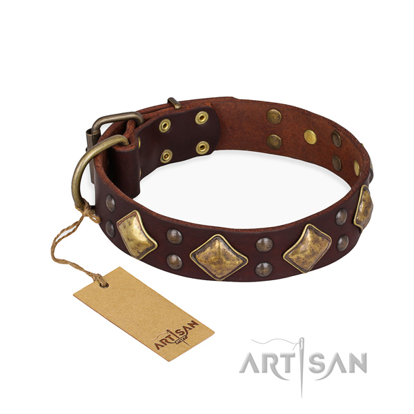 Daily walking designer dog collar with corrosion proof buckle