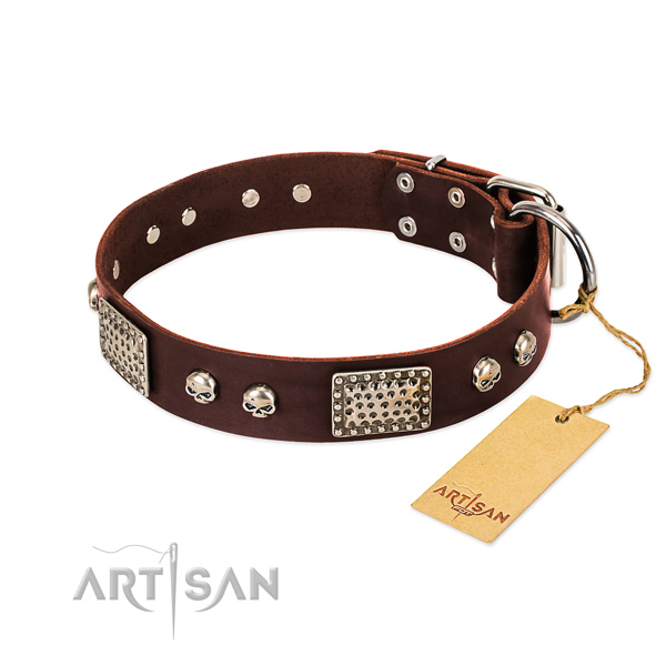 Easy to adjust full grain natural leather dog collar for everyday walking your dog