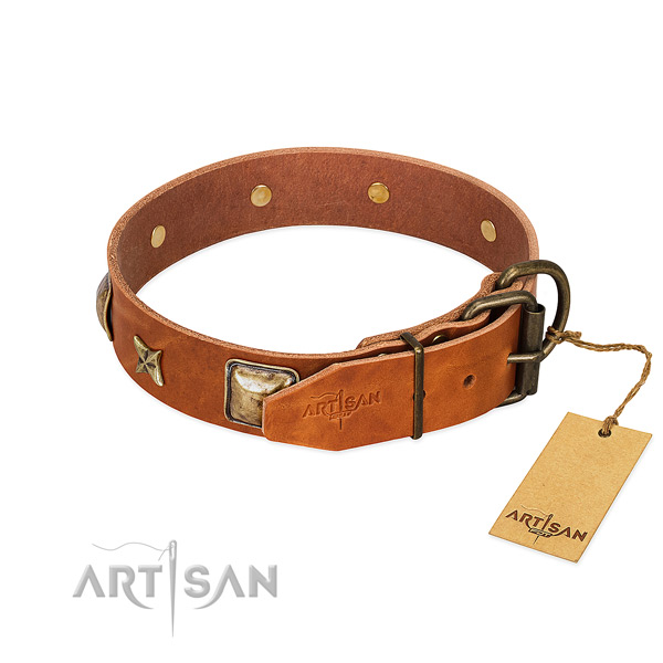 Leather dog collar with rust resistant fittings and adornments