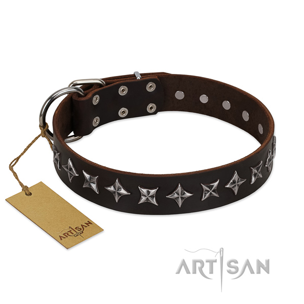 Comfortable wearing dog collar of top quality full grain leather with decorations