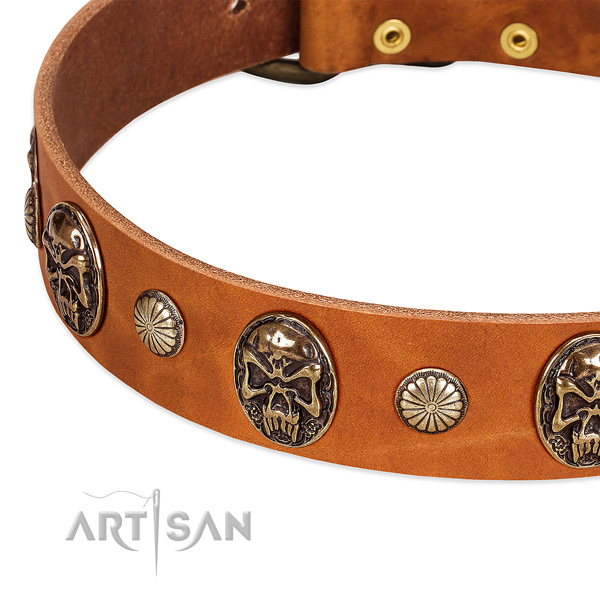 Rust resistant adornments on full grain leather dog collar for your canine