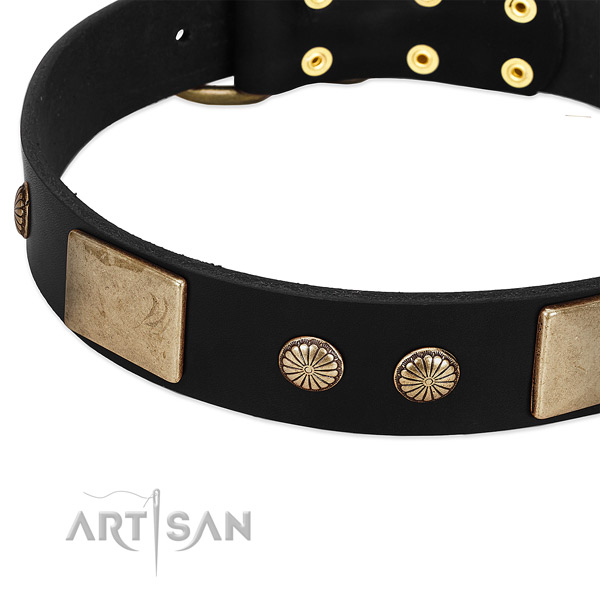 Full grain genuine leather dog collar with studs for comfy wearing
