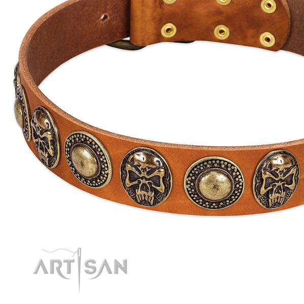 Reliable decorations on genuine leather dog collar for your canine