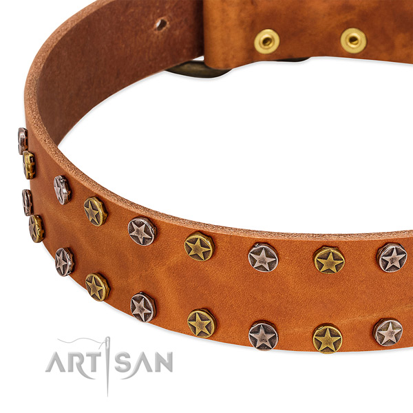 Stylish walking leather dog collar with amazing decorations