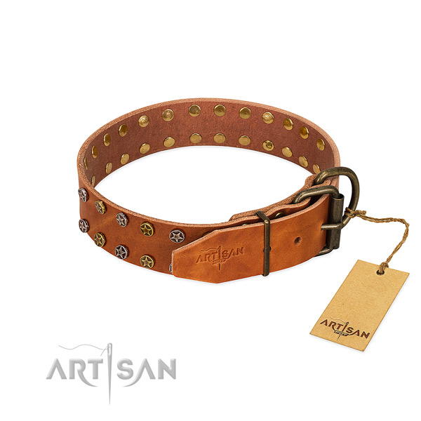Comfy wearing leather dog collar with exceptional decorations