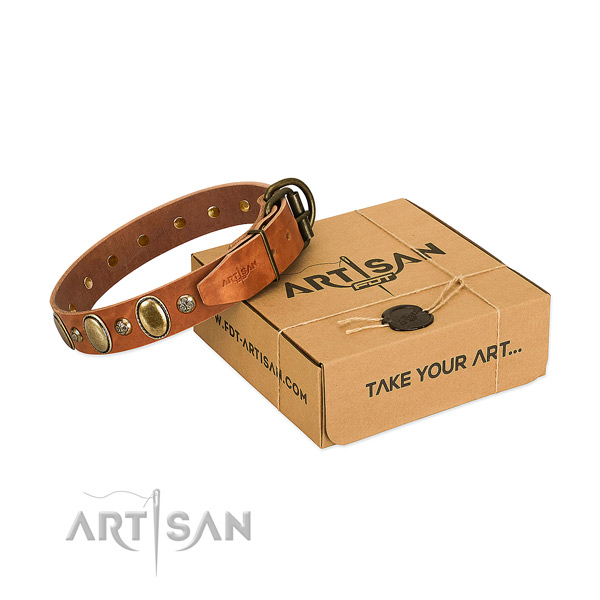 Stylish natural leather dog collar with reliable buckle