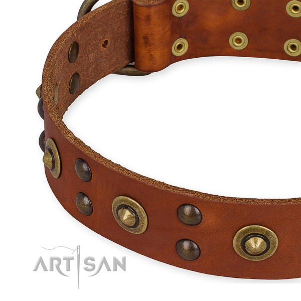 Full grain genuine leather collar with strong fittings for your stylish canine