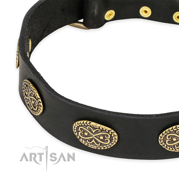 Extraordinary natural genuine leather collar for your beautiful four-legged friend