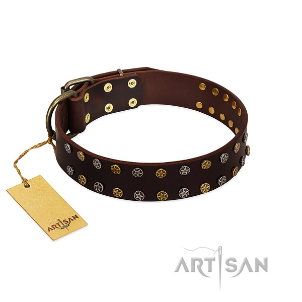 Stylish walking top notch full grain natural leather dog collar with studs