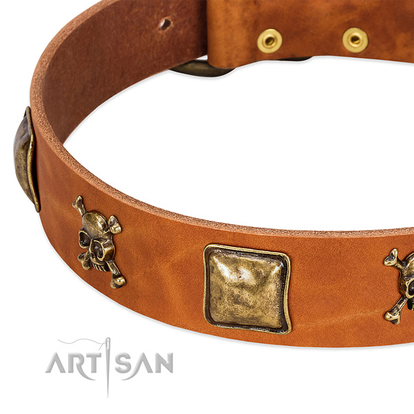 Unique full grain natural leather dog collar with strong studs