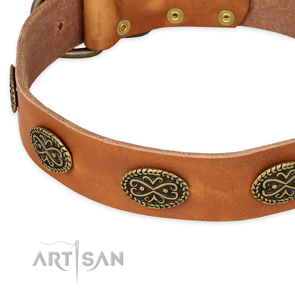 Decorated genuine leather collar for your handsome pet
