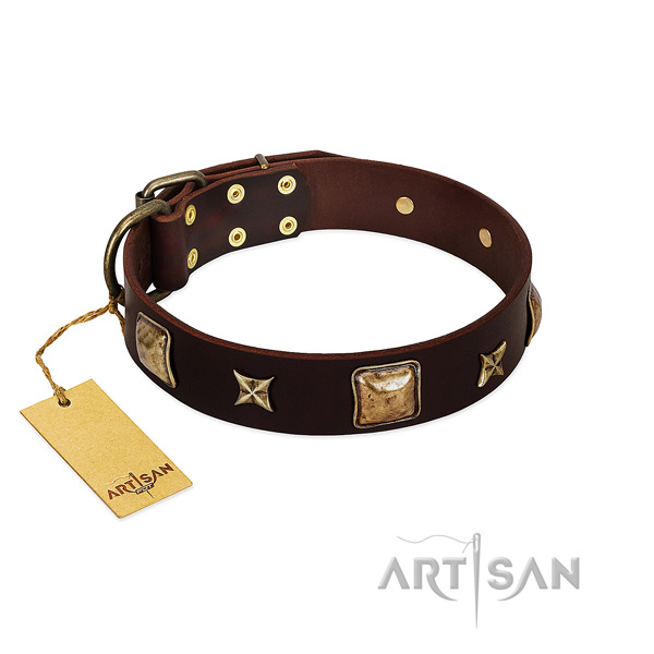 Extraordinary leather collar for your canine