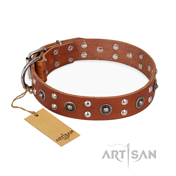 Stylish walking extraordinary dog collar with durable fittings