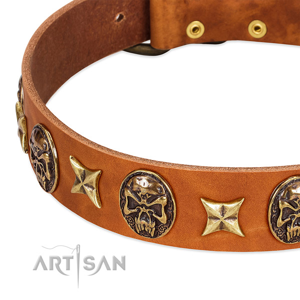 Reliable traditional buckle on leather dog collar for your pet