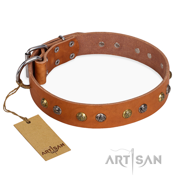 Comfy wearing remarkable dog collar with corrosion resistant traditional buckle