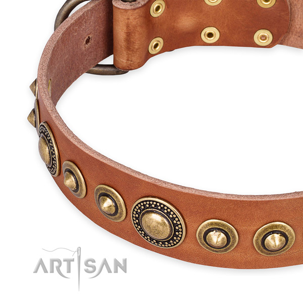 Reliable natural genuine leather dog collar crafted for your beautiful dog