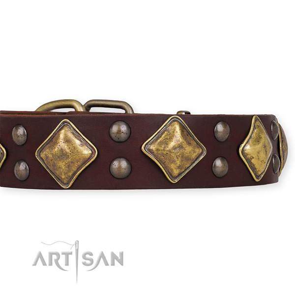 Full grain natural leather dog collar with incredible rust-proof decorations