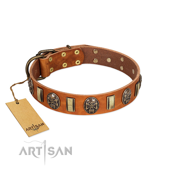Adjustable full grain genuine leather dog collar for everyday use