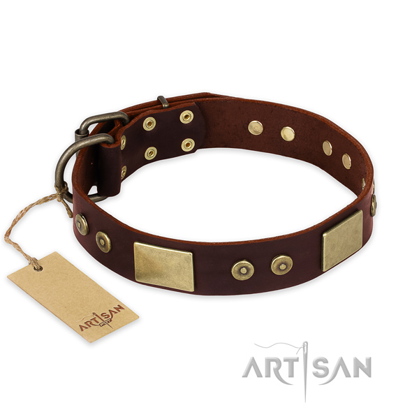 Impressive full grain leather dog collar for daily use