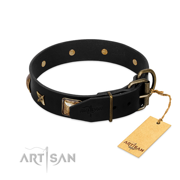 Strong D-ring on leather collar for stylish walking your doggie