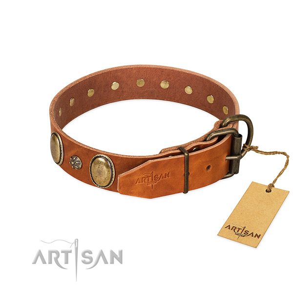 Everyday use best quality full grain leather dog collar