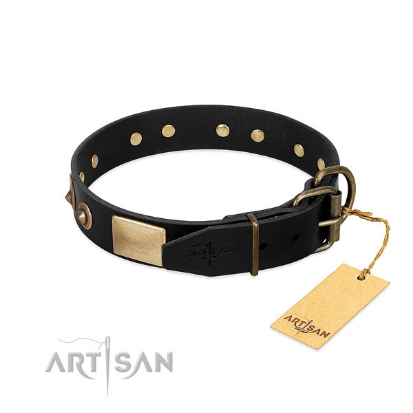 Reliable traditional buckle on everyday use dog collar