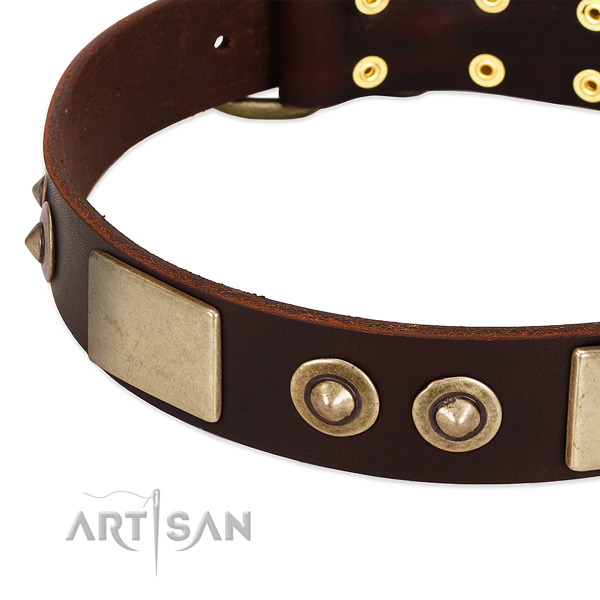 Durable studs on full grain genuine leather dog collar for your canine