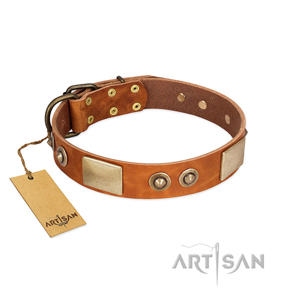 Easy adjustable full grain natural leather dog collar for basic training your canine